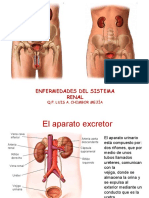 Enfermedades_del_sistema_renal