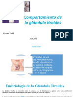 Comportamiento de La Glandula Tiroides