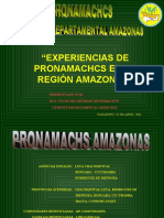 Experiencias PRONAMACHCS Amazonas