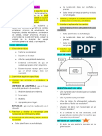 Auditoria en Salud PDF