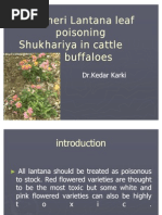 Download Lantana poisoning by Karki Kedar SN47447708 doc pdf