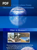 Download Biomass Final Ppt by Mrinalini Karve SN47447726 doc pdf