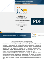 apoyo Paso 5 Elaboración sustentación de Alternativas PML