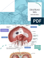Anatomía diafragma.pptx