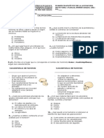 Examen Diagnóstico de Historia 1 PDF
