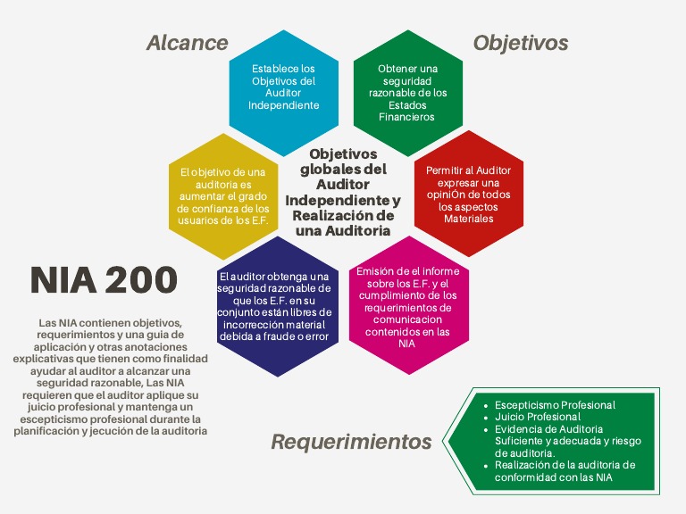 Tarea 4 Esquema NIA 200 - 3132-11-4061 Astrid Cifuentes PDF | PDF ...