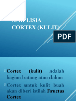 415428406-Simplisia-Cortex-Kulit-pptx.pptx