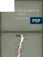 Pueblos Originarios de Chilenos