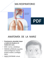 1 Anatomia y FISIOLOGIA DE LA NARIZ 1 PDF