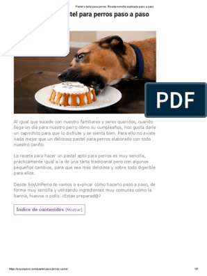 Pastel o Torta para Perros - Receta Sencilla Explicada Paso A Paso | PDF |  Pasteles | Carne