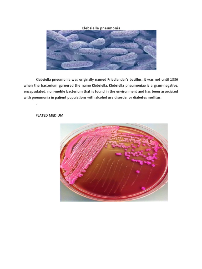klebsiella pneumoniae mbl icd 10