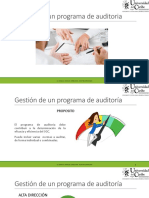 Gestión de Un Programa de Auditoria