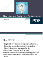 The Human Body: An Orientation