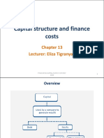 Topic 13_Capital structure and finance costs.pdf