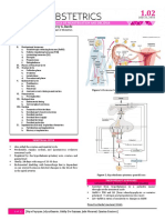 OB 1 - 1.02 Physiology of Menstruation and Decidua PDF