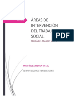 Areas de Intervencion en Trabajo Social