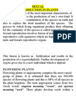 Sexual Reproduction in Plants