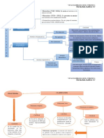 Vivas Zambrano Gema Veronica Patologia Clinica "A": Clasificación Morfológica