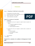 Laudit_dans_le_secteur_public[1].pdf