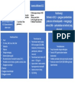 Anemia Def. VitB12