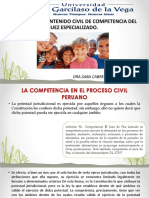 Materias de Contenido Civil de Competencia Del Juez Especializado