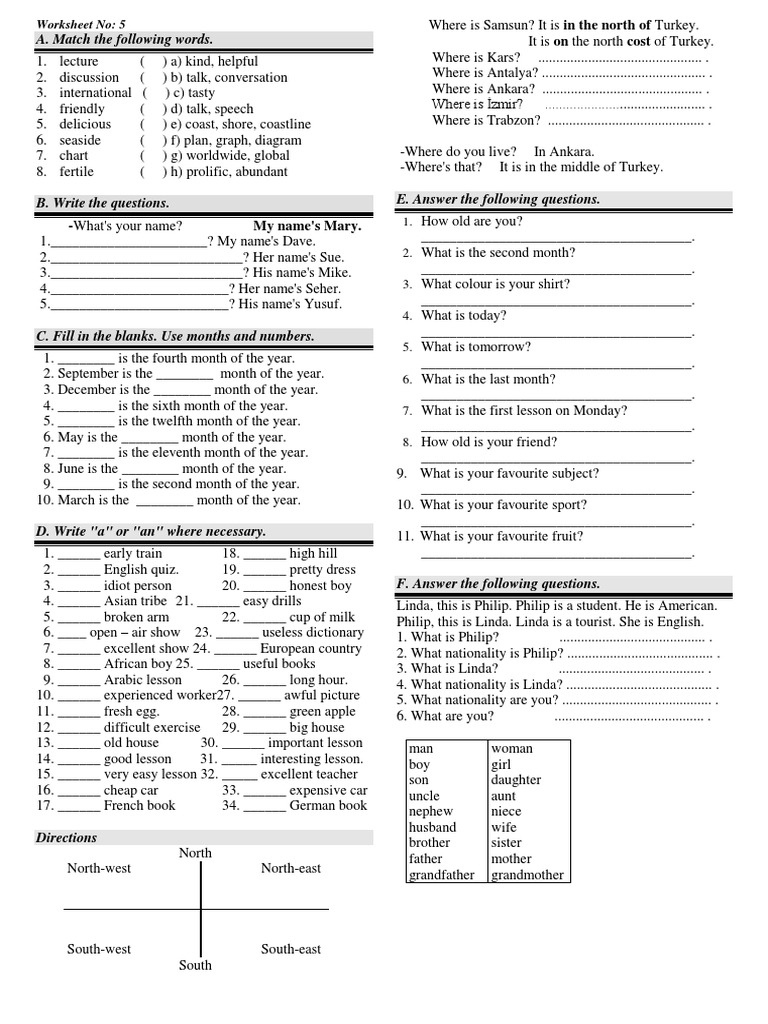 English Language Practice Worksheet | PDF