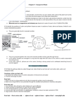 Chapter 8 - Transport in Plants