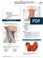 1.4 CPC - 02 Thyroid Gland Follicular Adenoma