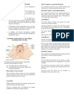 Female Reproductive System Structures