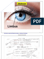 Limbus Anatomy by EduLesson