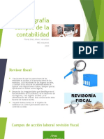 Infografía Campos de La Contabilidad