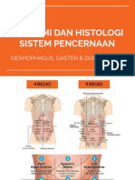 Anatomi Dan Histologi - Sistem Pencernaan
