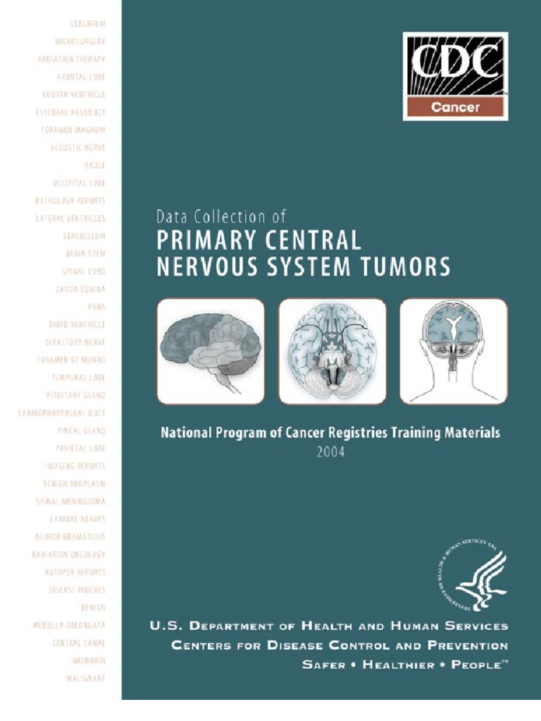 Brain and Central Nervous System Tumors | PDF | Brain Tumor | Brainstem