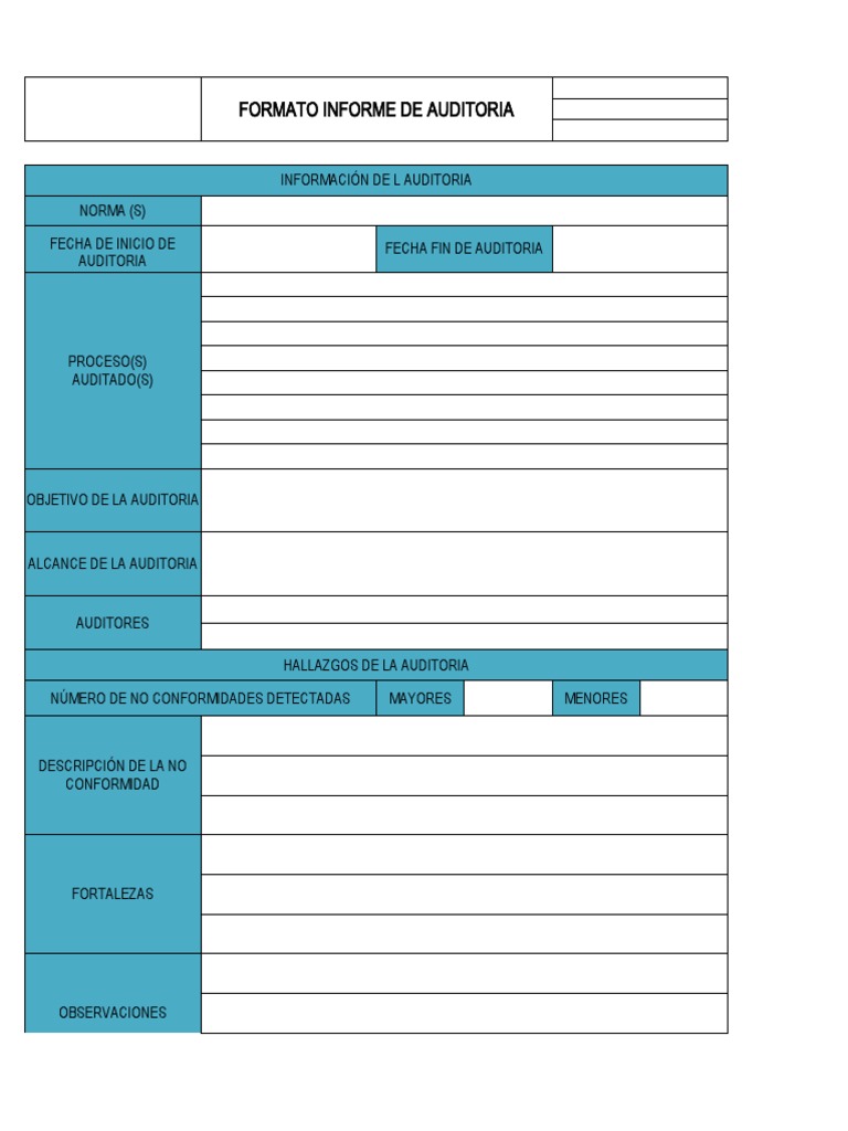 Formato Informe de Auditoria | PDF | Tecnología