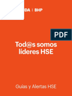 Librillo HSE (10,8 X 14) 27.03.2019 PDF