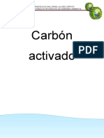 Carbon Activado Grupo 5