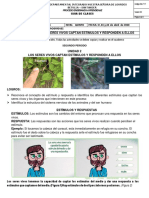 ESTÍMULOS Y RESPUESTAS.pdf