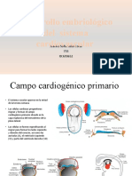 embriologia sistema cardiovascular.pptx