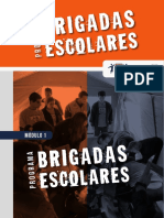 modulo1_programa_brigadas