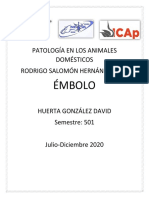 Émbolo PDF