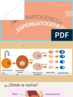 Embrio Tema 2