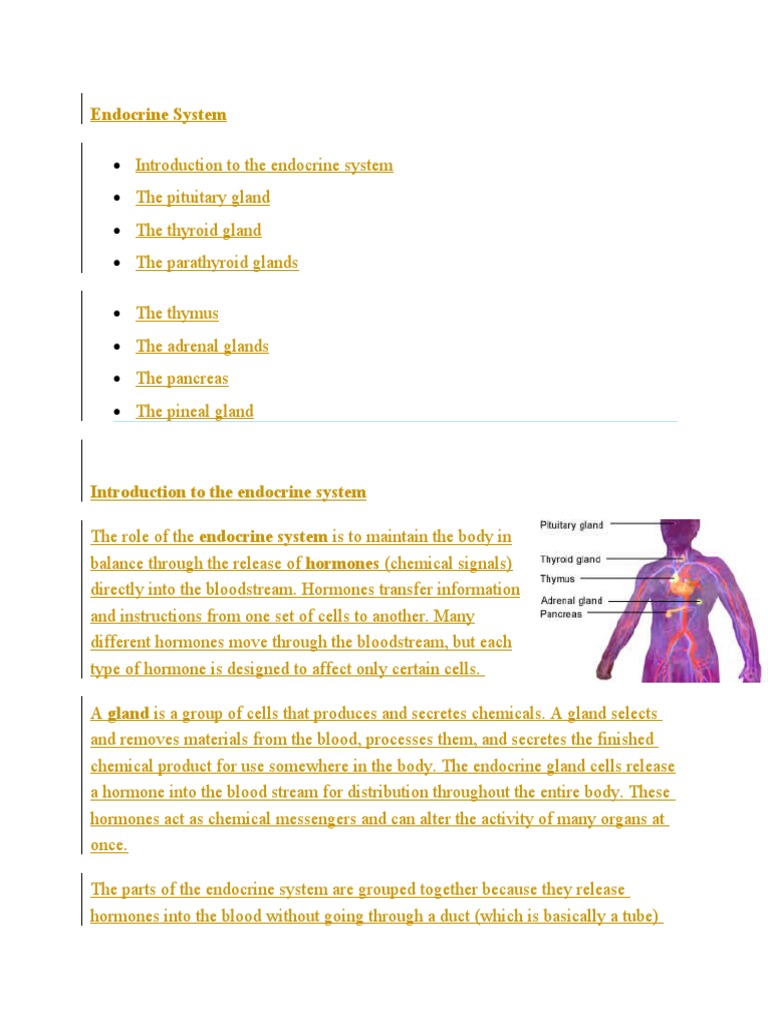Overview of the Endocrine System | PDF | Adrenal Gland | Endocrine System
