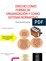 Clase 01 El Derecho Como Forma de Organización y Como Sistema Normativo