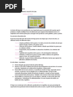 Circuito Productivo del Trigo en Argentina | PDF | Trigo | Harina