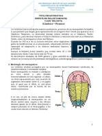 Guia Clase Trilobita 2020