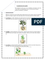 5to Ciencia y Ambiente 15