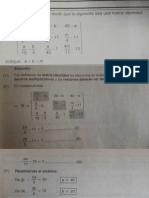 Matriz PDF