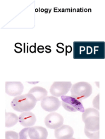 Parasitology Examination: Slides Spots