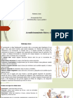 Unidad 1fase 2 - Mapa Conceptual de Los Tres Sistemas - Yurany Estefania Gallardo