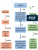 Ciclo Del Carbono